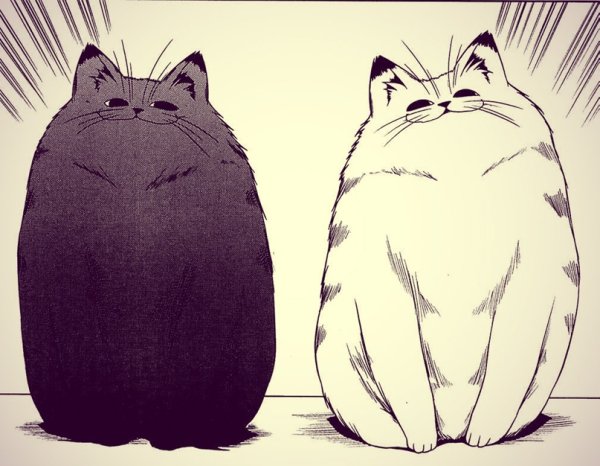 Коты в манге
