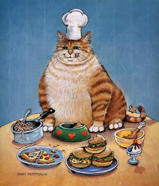 Толстый кот с едой