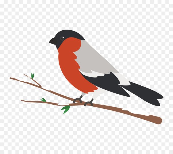 Снегирь контур