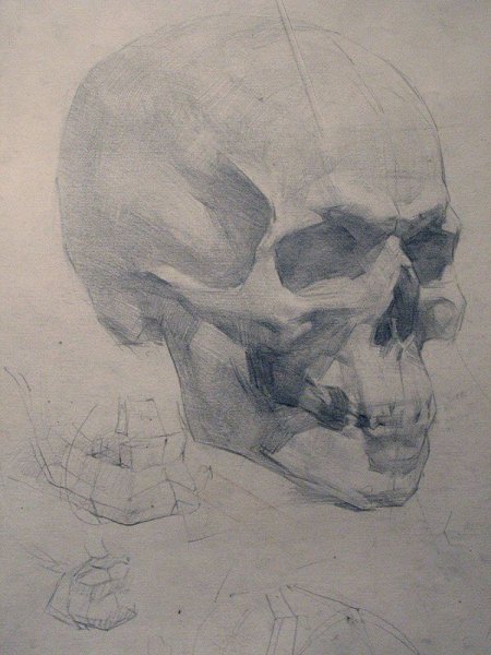 Баммес череп человека