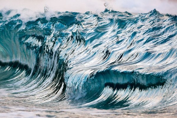 Волна кутсуяма