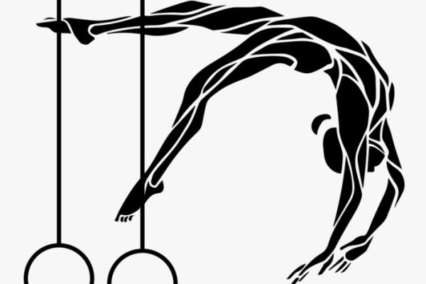 Спортивная гимнастика силуэт