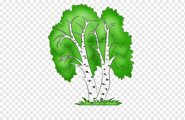 Дерево береза для детского сада