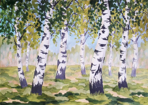 Берёза рисунок карандашом