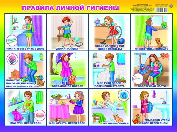 Правила личное гигиены