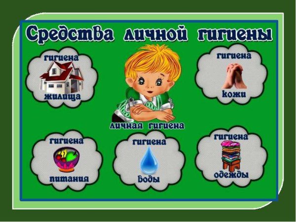 Правила гигиены