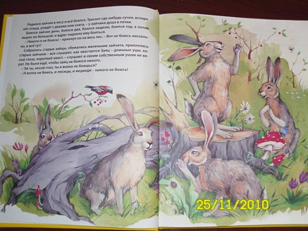 Аленушки сказки мамин Сибиряк