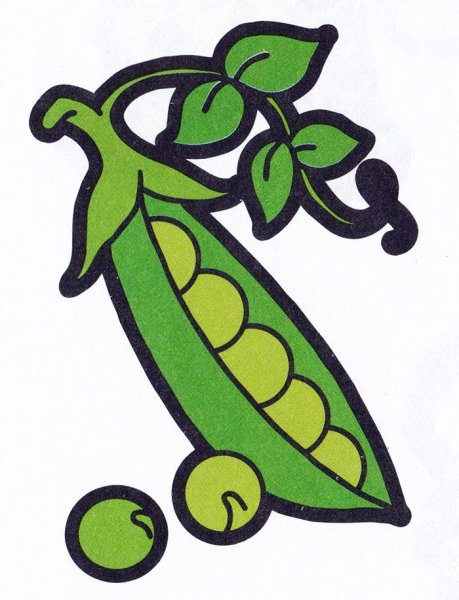 Горох раскраска