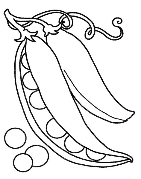 Горох раскраска для детей