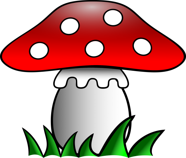 Мухомор для детей