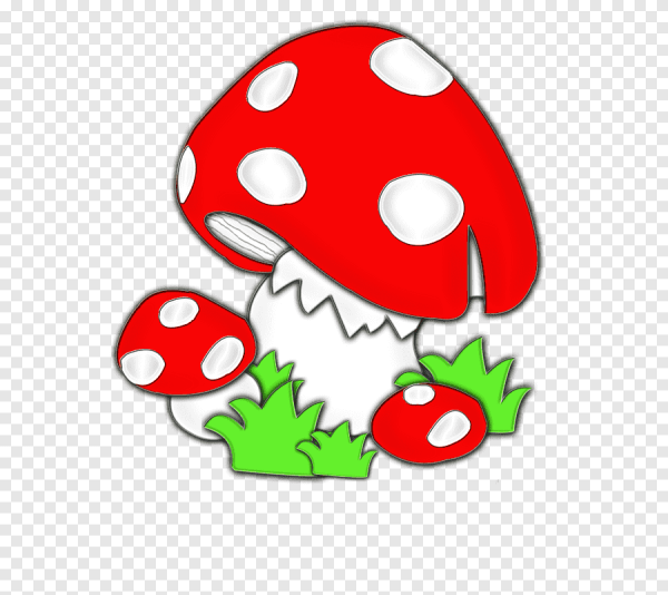 Грибок мухомор рисунок