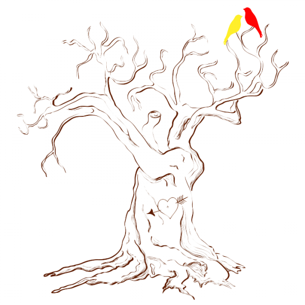 Дерево желаний