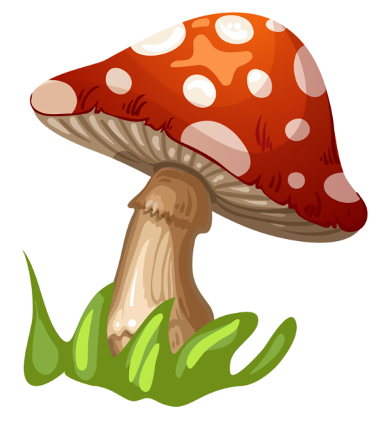 Гриб мухомор для детей