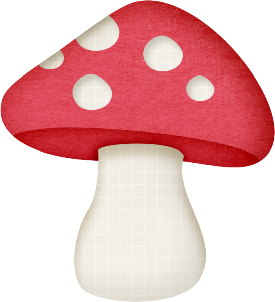 Грибы для детей мухомор белый гриб