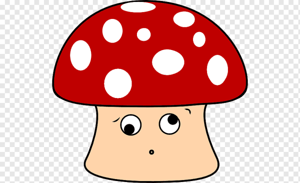 Живые грибы: