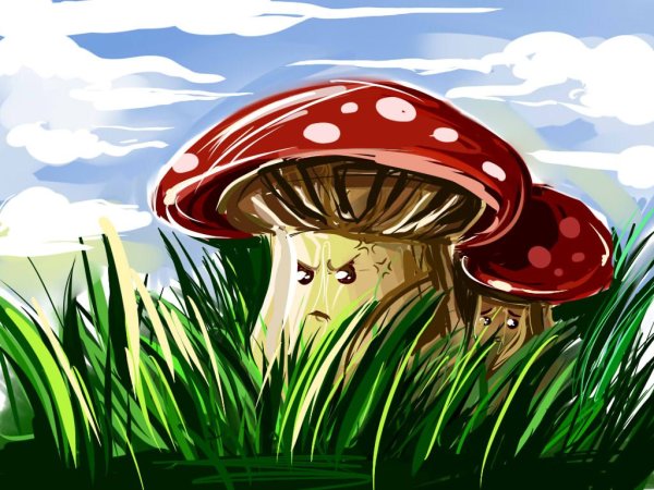 Мухомор для дошкольников