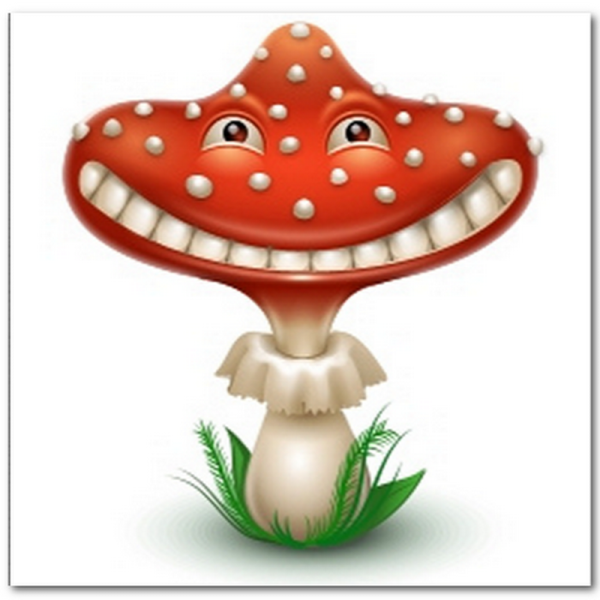 «Грибы для белки» (Комарова, с.36)