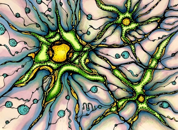 Нейрографика Грег Данн