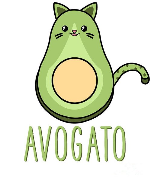 Авокадо кот