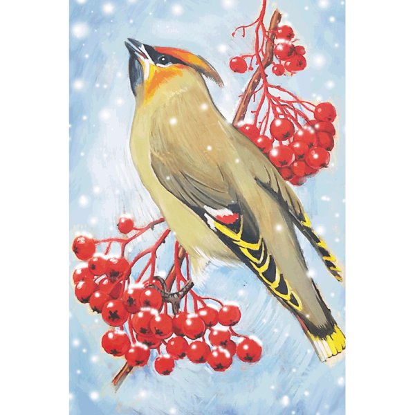 Свиристель открытка