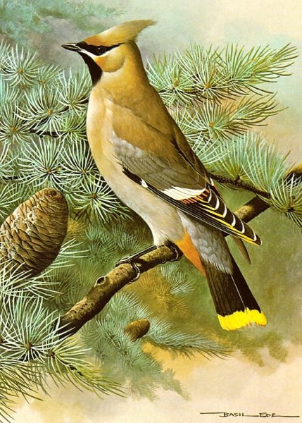 Английский художник Базиль Эде