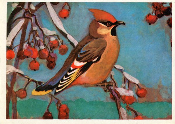 Свиристель красками