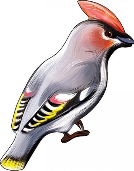 Свиристель аппликация