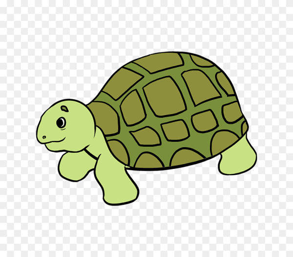 Раскраска черепашка
