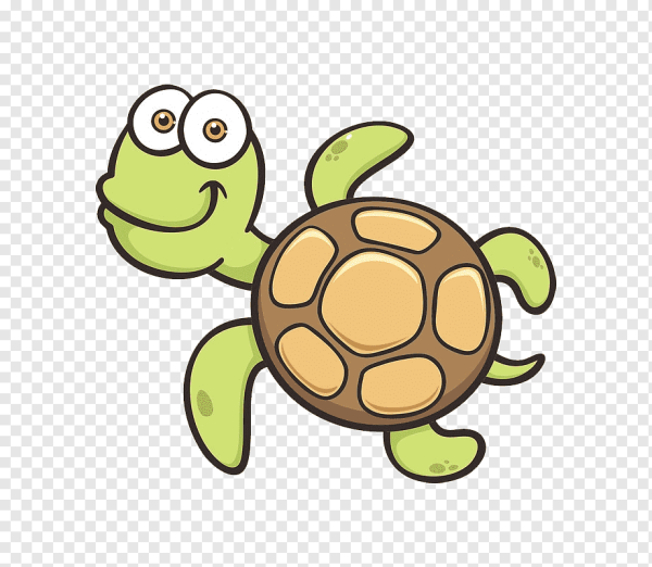 Черепахи сен Санс