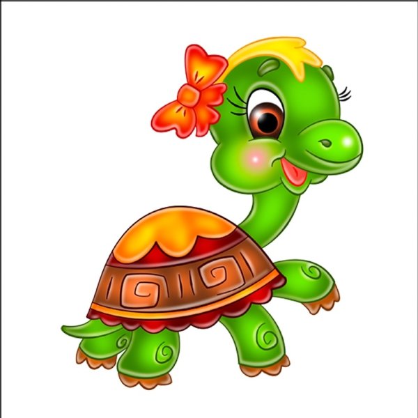 Черепаха вид сверху