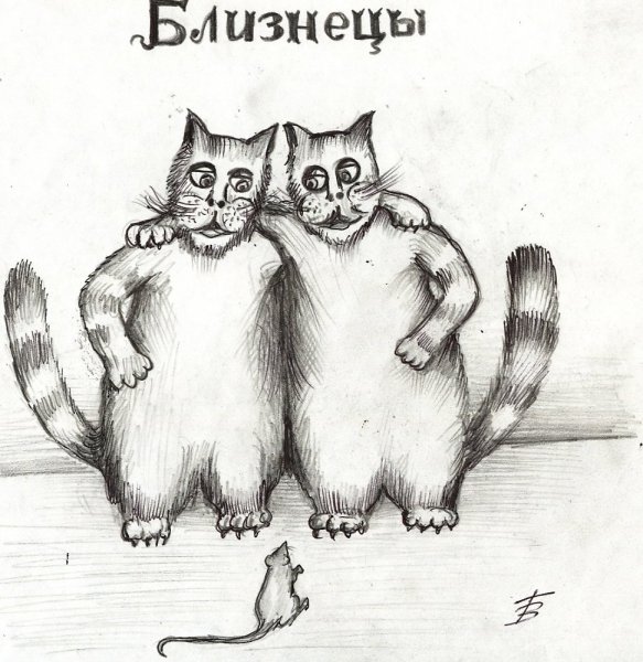 Знак зодиака Близнецы