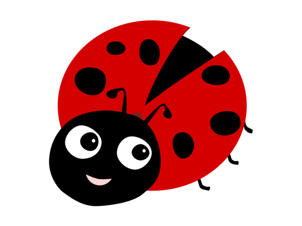 Бобья КОРОВКАДЛЯ детей