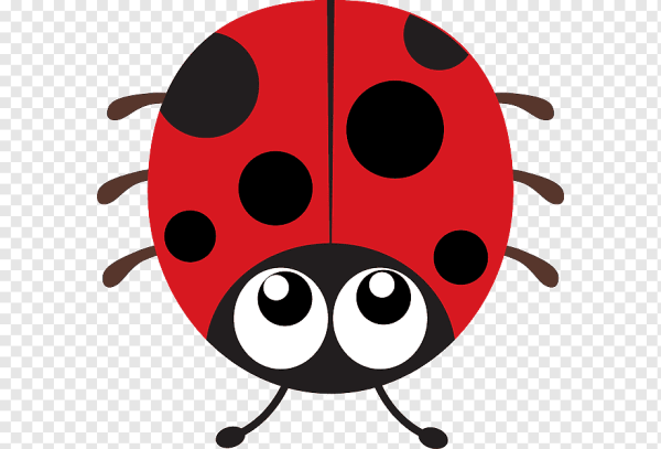 Бобья КОРОВКАДЛЯ детей