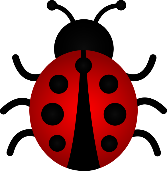 Ladybug Божья коровка
