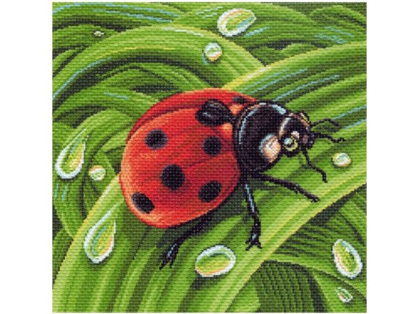 Божья коровка картина