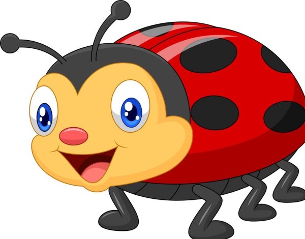 Жучки для детей