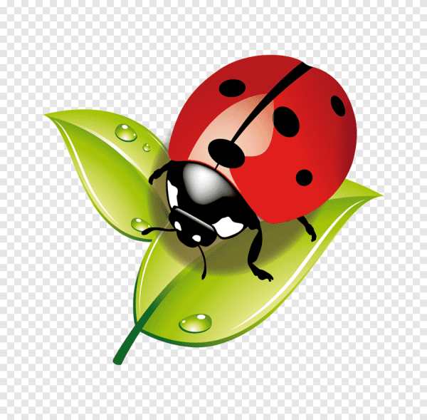 Бобья КОРОВКАДЛЯ детей