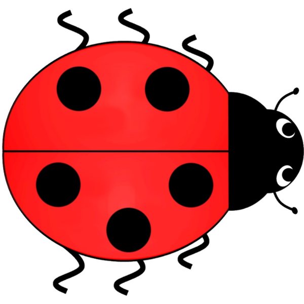 Бобья КОРОВКАДЛЯ детей