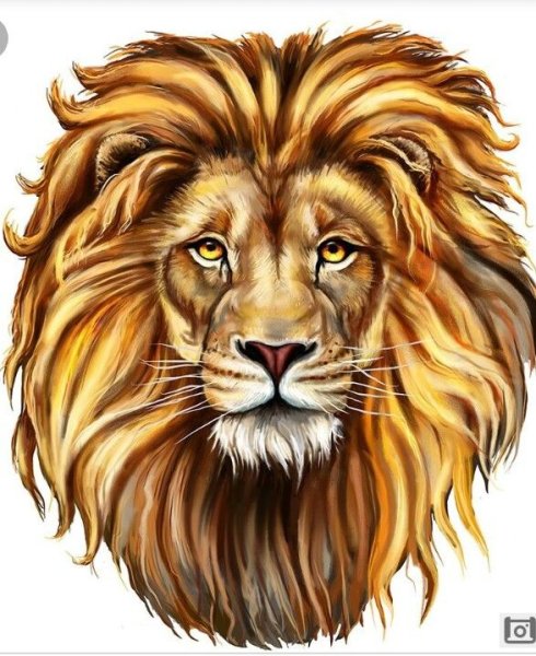 Мордочка Льва