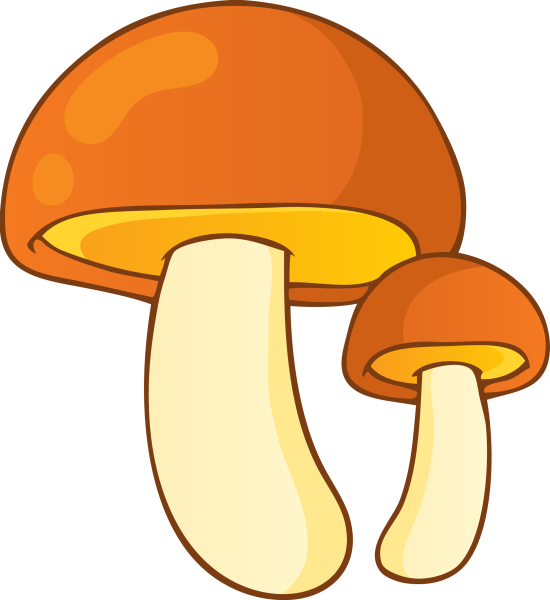 Гриб Mushroom Машрум