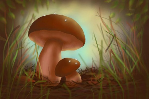 Нарисовать гриб