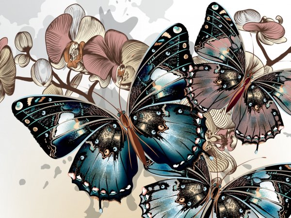 Фотообои бабочки