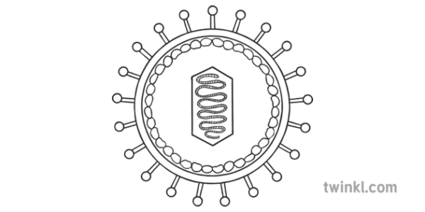 Вирус без подписей