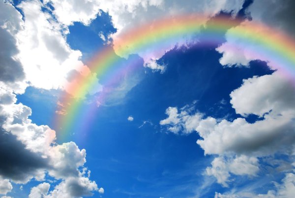 Радуга картинка