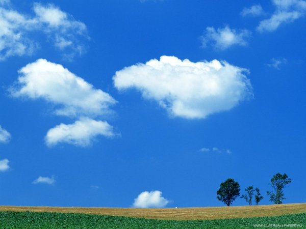 Два рисунка красота неба