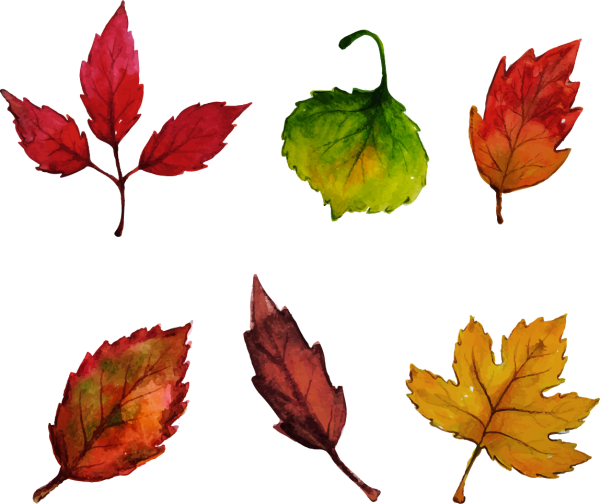 Листья деревьев акварелью