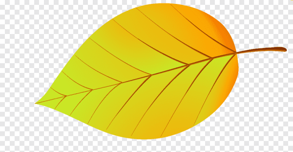 Листики деревьев