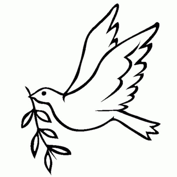 Голубь мира раскраска для детей