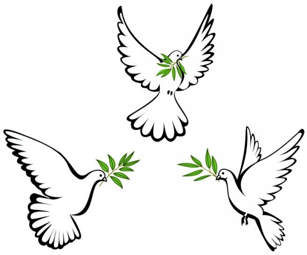 Голубь мира рисунок