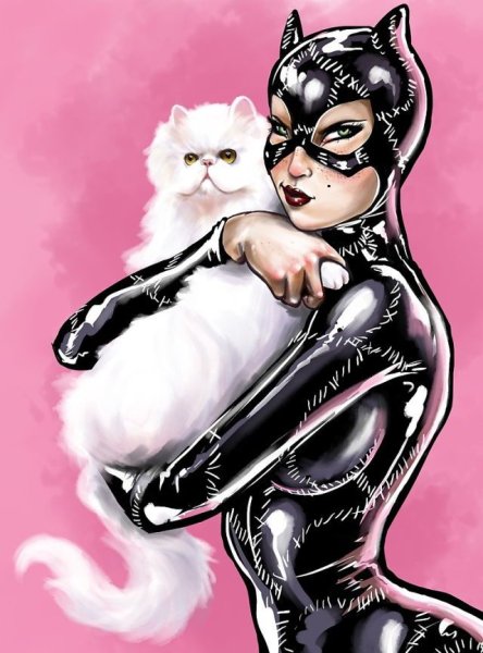 Batman Catwoman Lee Bermejo